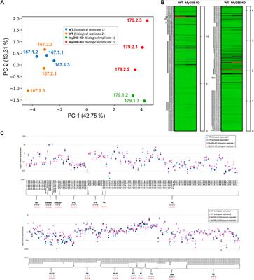 Integrated cellular 4D-TIMS lipidomics and transcriptomics for characterization of anti-inflammatory and anti-atherosclerotic phenotype of MyD88-KO macrophages